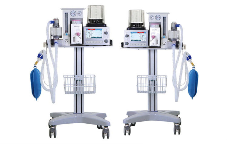 DM6B-Veterinäranästhesie-Ventilator-System Wechselstrom 100-240V 7 Zoll-Farbe-LCD-Anzeige